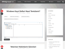 Tablet Screenshot of bilgi-sayar.net